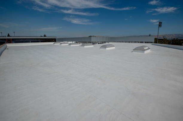 Waterproofing in Lacoochee, FL